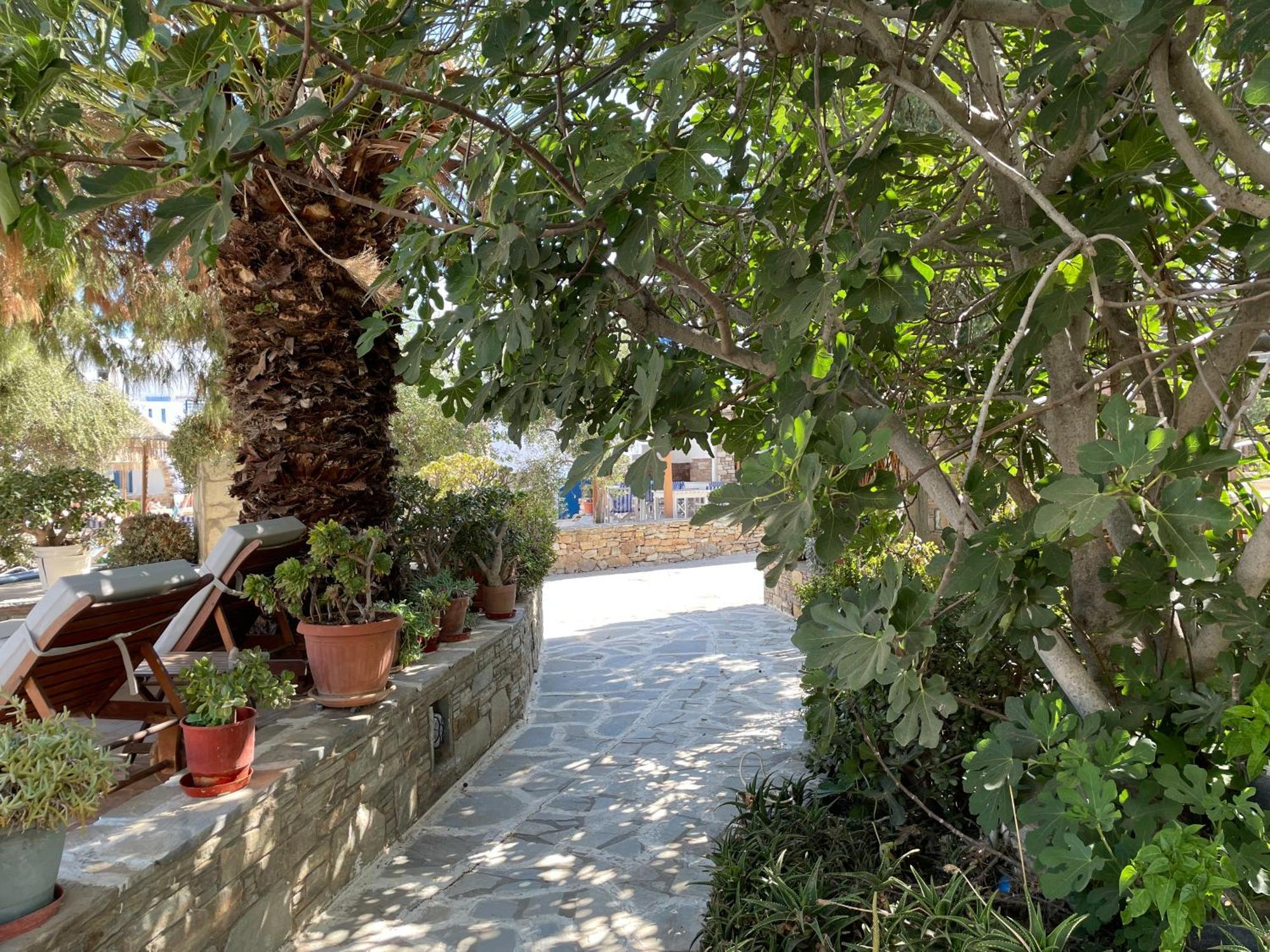Ioanna Apartments Agios Prokopios  Exterior foto